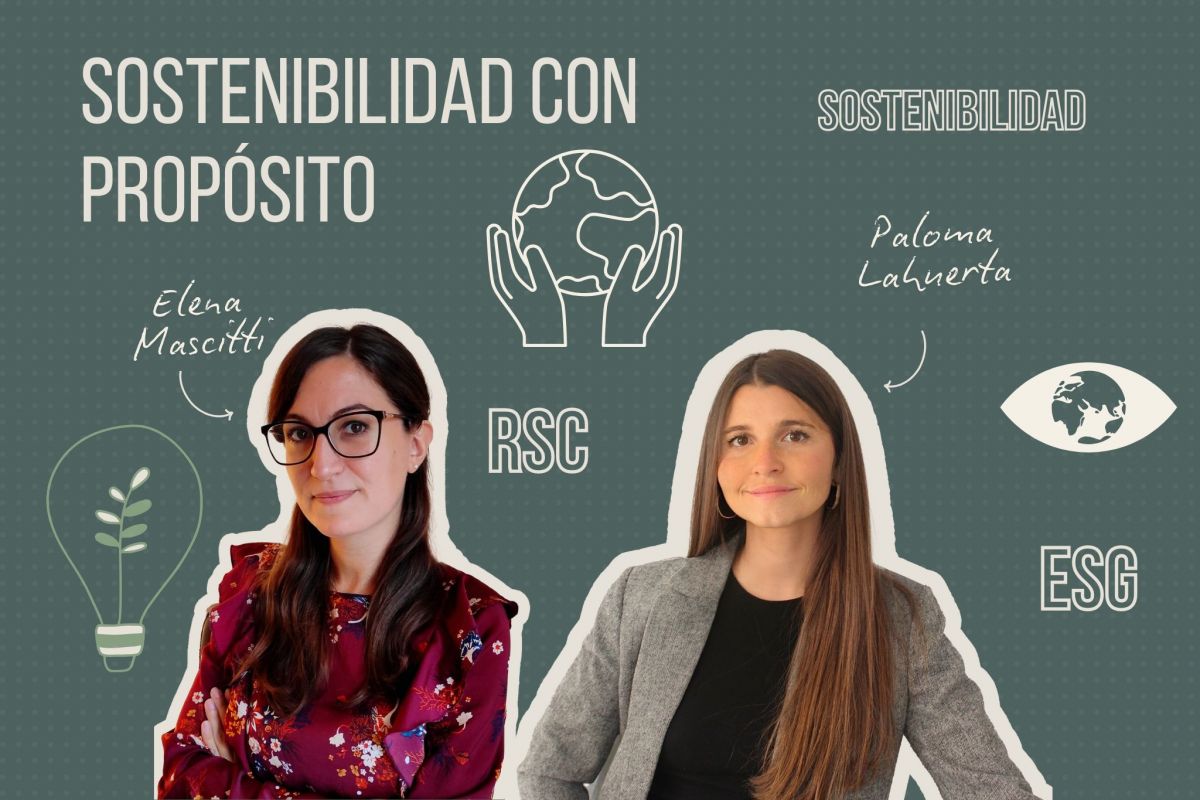 Sostenibilidad, ESG y RSC: visión y gestión en Bergner