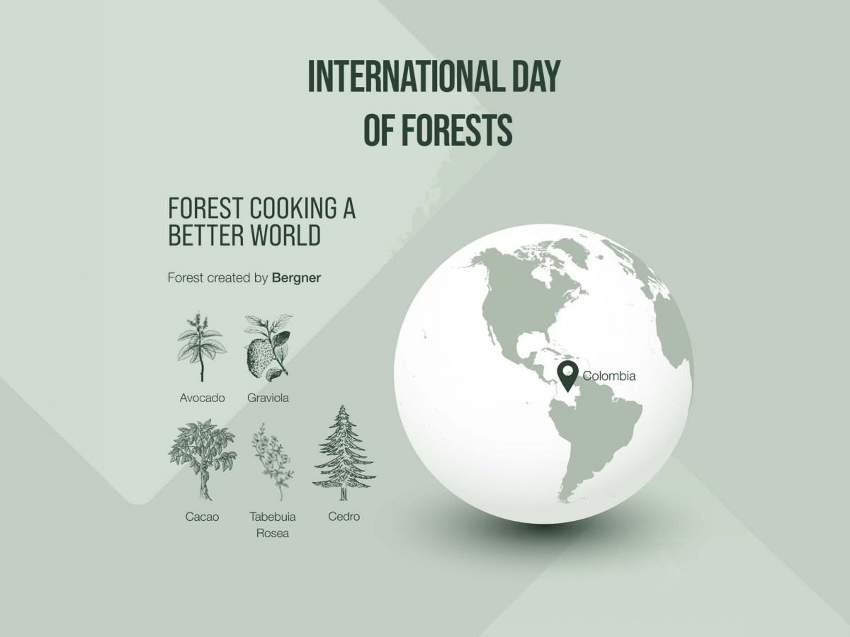 Celebrando el Día Internacional de los Bosques: El Compromiso de Bergner con la Sostenibilidad Ambiental